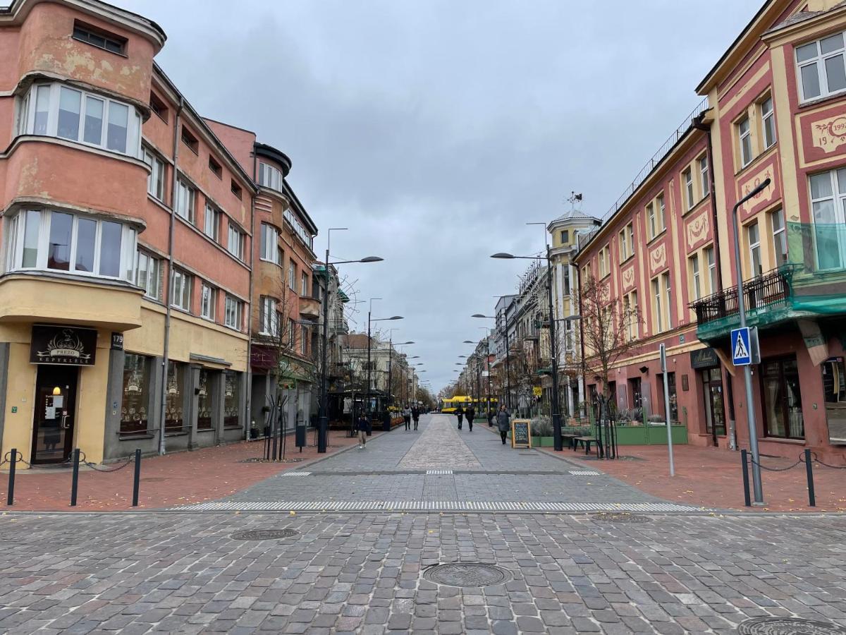 Jaukus Apartamentai Miesto Centre Appartement Šiauliai Buitenkant foto